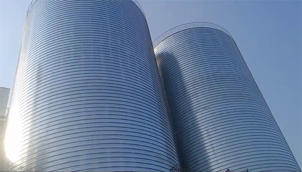 信州2座混凝土高架卷板仓